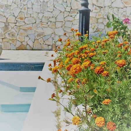 Estate Dafnopanagia Villa Magda Asprogerakata Dış mekan fotoğraf