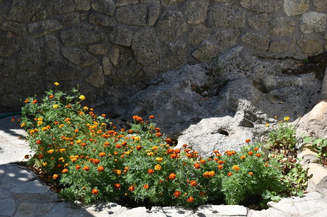 Estate Dafnopanagia Villa Magda Asprogerakata Dış mekan fotoğraf